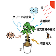 科学的データに基づいた環境と健康のご提案