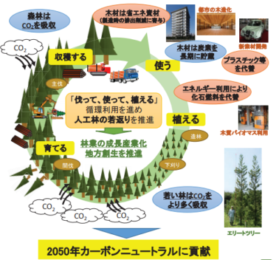 カーボンニュートラルと｢小さな森づくり」