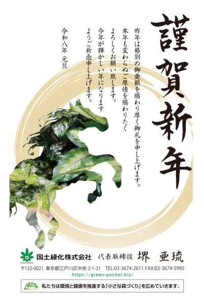 NO,138     謹賀新年