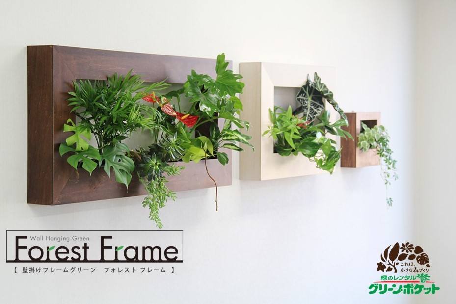 8c89fa89c9d2357f048b0d13108770