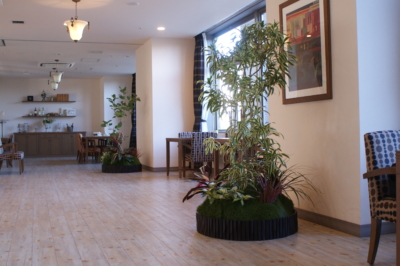 植物から生まれる生きる力　～高齢化社会に貢献～