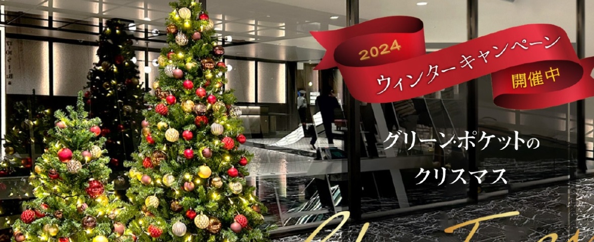 NO,108 一体感を高めるシンボル ～クリスマスツリー～｜コラム｜観葉