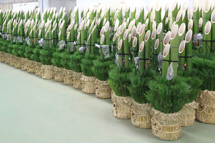 松は長寿、竹は成長繁栄の象徴 ~日本文化を継承する門松の歴史~